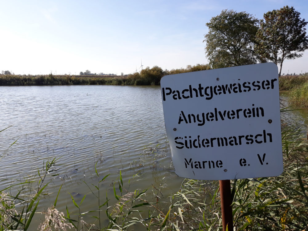 Helser Wehl Angelverein Südermarsch Marne e.V.